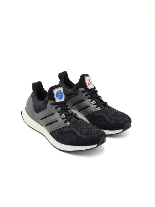 Adidas Ultraboost 5 NASA